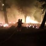 Militares de la UME en las labores de la extinción del incendio originado en Cuevas del Valle (Ávila)