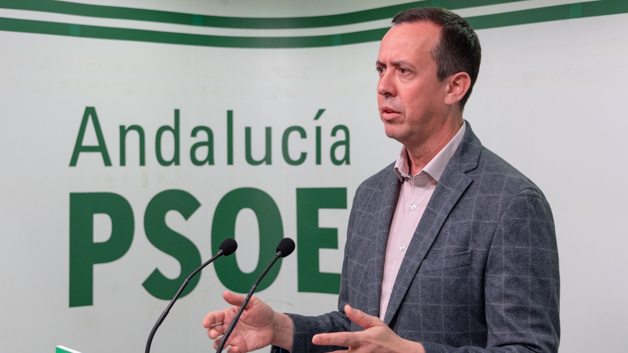 Dimite el secretario de Organización del PSOE de El Ejido tres meses después de reorganizar la Ejecutiva local