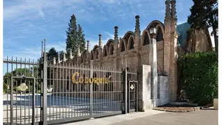 Economía.- Raventós Codorníu comprará un 50% más de uva y volverá a aplicar un "plus climático" Economía.- Raventós Codorníu comprará un 50% más de uva y volverá a aplicar un "plus climático"