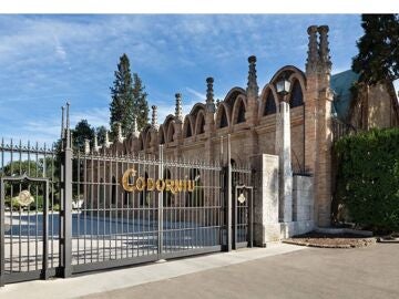 Econom&iacute;a.- Ravent&oacute;s Codorn&iacute;u comprar&aacute; un 50% m&aacute;s de uva y volver&aacute; a aplicar un "plus clim&aacute;tico"