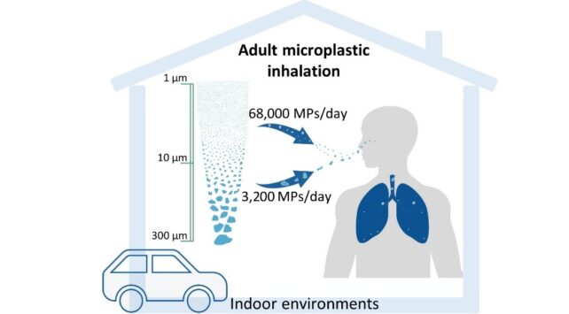 Inhalamos más de 71.000 partículas diarias