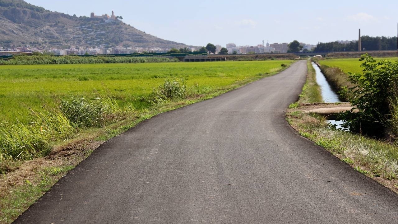 El Ministerio de Agricultura paga 39,6 millones a más de 4.000 agricultores afectados por la dana que repararon sus tierras por sus cuentas