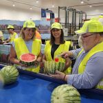 La sandía "made in Región de Murcia" triunfa en mercados de todo el mundo