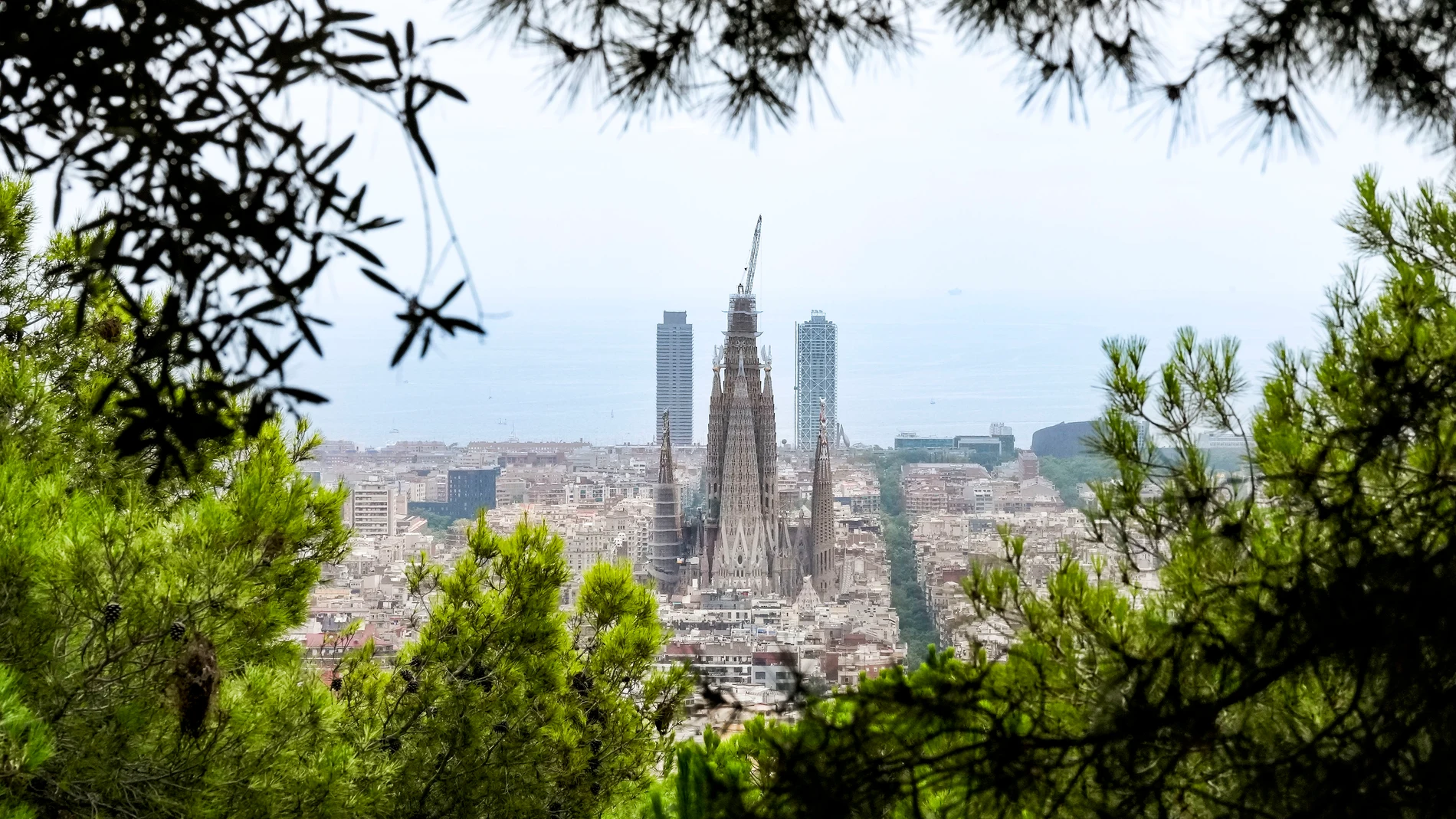 FOTODELDÍA BARCELONA 01/08/2025.- La Sagrada Família ha alcanzado este pasado jueves los 155,58 metros de altura, lo que la ha convertido en el edificio más alto del entramado urbano de Barcelona, superando así los 154 metros de la Torre Mapfre (i) y el Hotel Arts (d), que eran los edificios más altos de la capitl desde 1992. La basílica de Antoni Gaudí llegará en los próximos meses a los 172,5 metros de altura con la culminación de la Torre de Jesucristo. EFE/ Enric Fontcuberta.