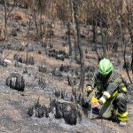 Agentes Rurales muestran sobre el terreno como se investigan los orígenes de los incendios forestales en Cataluña