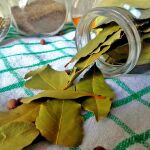 El sorprendente uso que tienen las hojas de laurel en la cocina: no solo se utilizan para la comida
