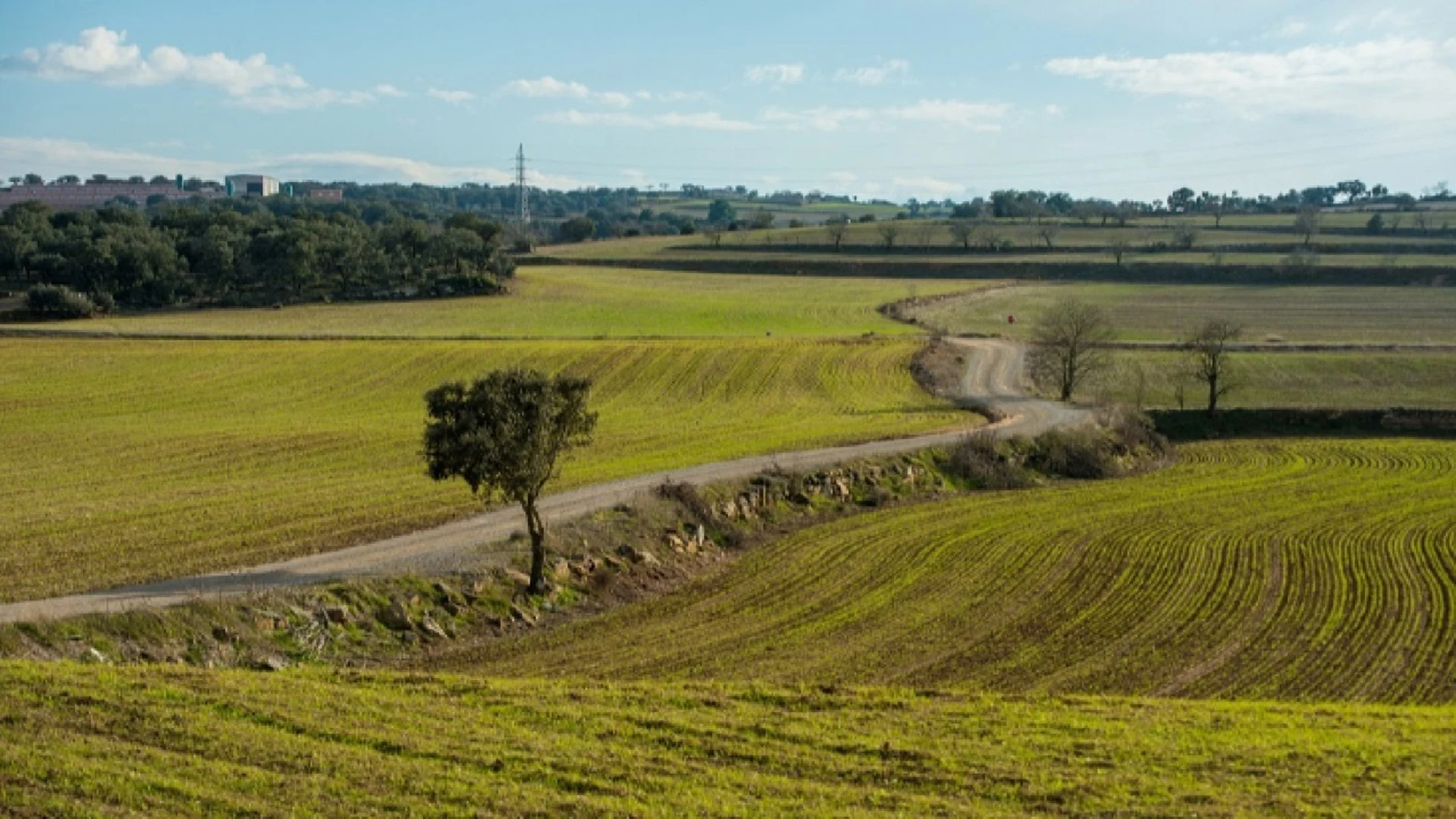 La Comunidad de Madrid patenta un dron con vuelo autónomo para detectar plagas y ahuyentar aves en explotaciones agrícolas
