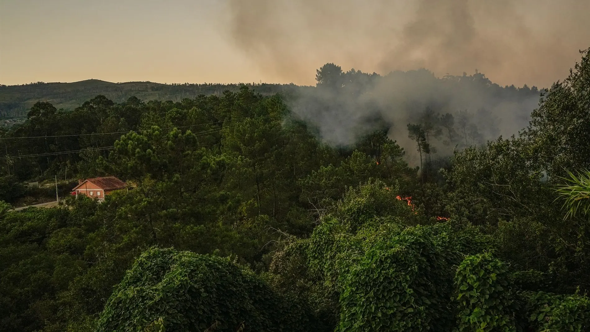 Incendios.- Activada la situación 2 en un incendio activo en Viladervós (Ourense) por proximidad a las viviendas