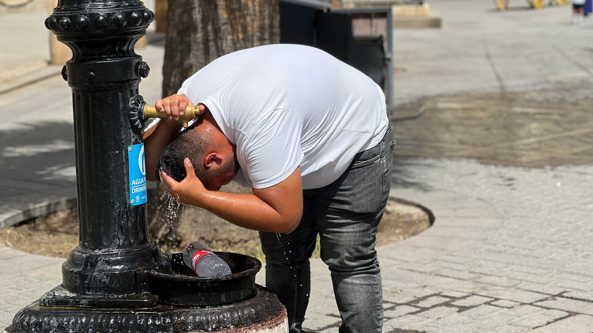 SEVILLA, 05/08/2025.- Un hombre se refresca en una fuente en Sevilla este martes. Las temperaturas máximas registradas el segundo día de la ola de calor en España se repartieron el lunes por el sur de Galicia y Valles del Guadalquivir, Guadiana y Tajo, con valores que se aproximaron a los 43 grados, según ha informado este martes la Agencia Estatal de Meteorología (Aemet). EFE/Roberto Ruiz Oliva