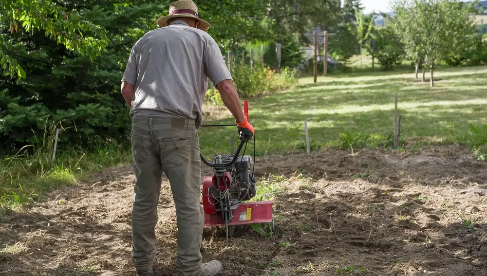 Un agricultor se dispone a limpiar su finca de arbustos y encuentra miles de billetes, pero la Policía le tiene preparada una sorpresa