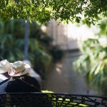 La ola de calor se asienta en Castilla y León