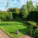 Qué no cultivar en el jardín: un jardinero revela los 5 árboles que causan más problemas que beneficios