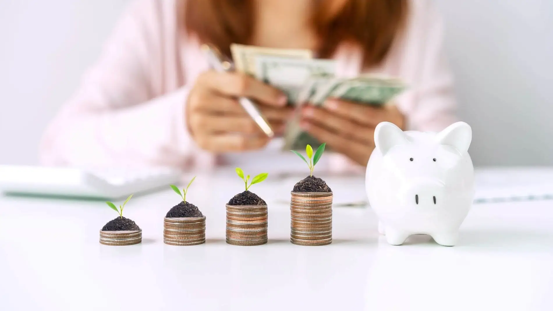 Ahorro por venganza