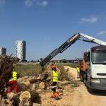 Valencia inicia la limpieza del cauce del río Turia 