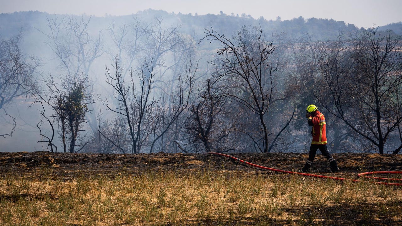 Unas 2.000 personas hacen una rave en Francia en un bosque asolado por un terrible incendio: "Tan peligroso como indigno"