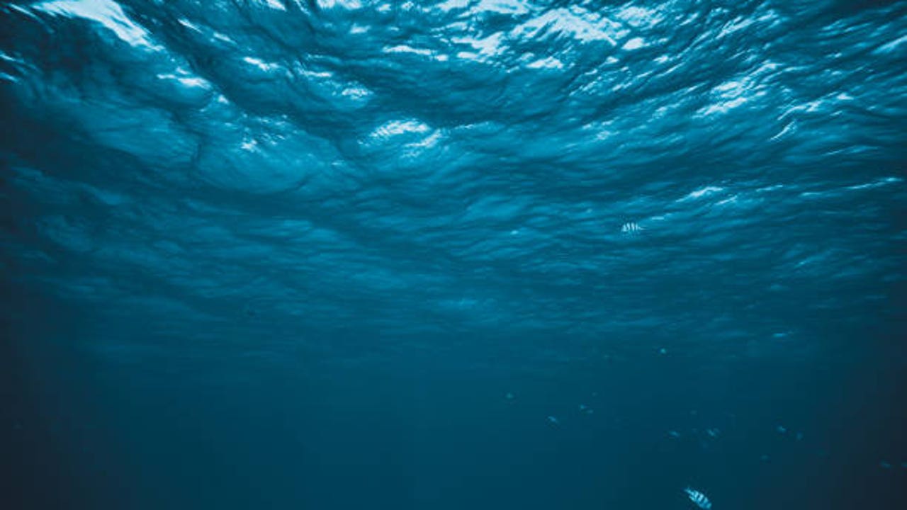 El misterioso brillo en los océanos que volvía loco a la ciencia ahora tiene respuesta: miles de millones de pequeños animales