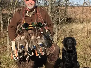 Muere un millonario estadounidense tras ser embestido por el búfalo de tonelada y media que estaba intentando cazar Muere un millonario estadounidense tras ser embestido por el búfalo de tonelada y media que estaba intentando cazar