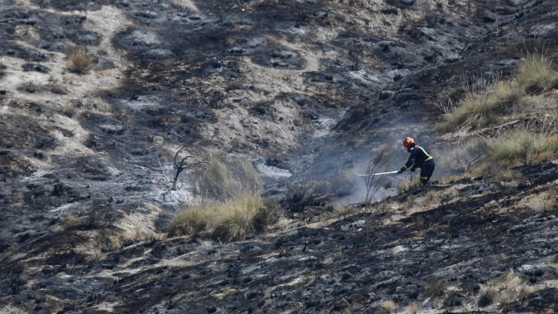 Imagen de los incendios en Aranjuez