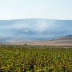  Cuatro medios aéreos se incorporan a la zona del incendio de Tarifa 