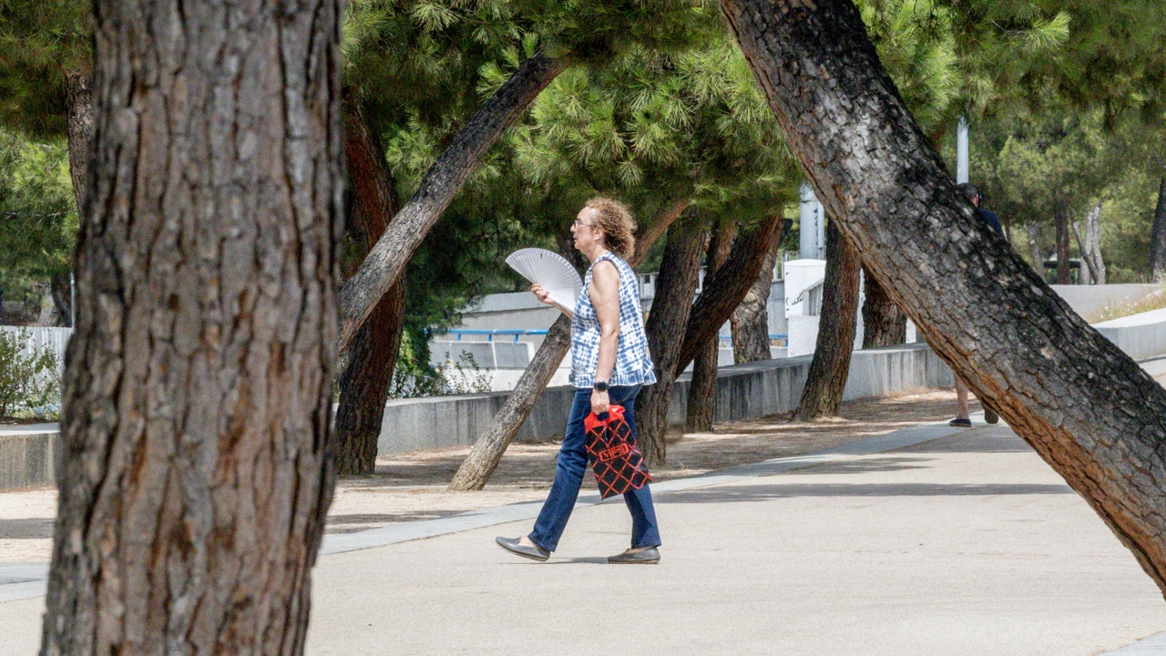 Aemet avisa de lo que llega: vuelven las temperaturas de verano y estás serán las zonas donde hará mas calor en Castilla-La Mancha