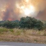 Incendio de Yeres (León) 