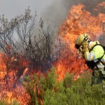 Incendio en Puercas (Zamora) en la Sierra de la Culebra