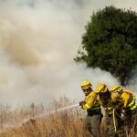 Bomberos de Castilla y León luchan contra un incendio
