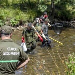 Rescate en el Tera de numerosos peces atrapados por la falta de agua en los cauces