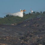 El incendio forestal de Tarifa (Cádiz) es intencionado, según la Junta de Andalucía