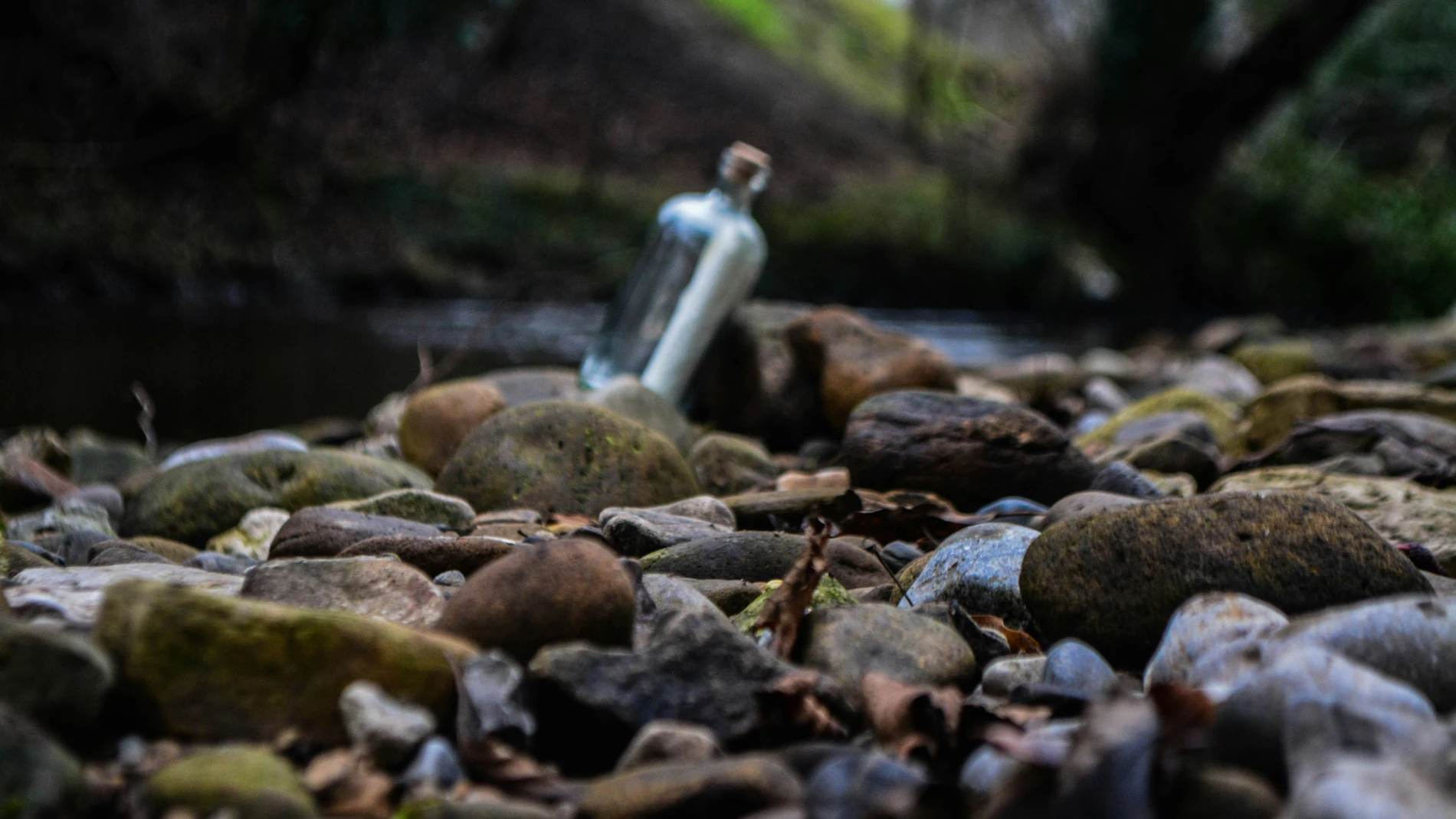 Un mensaje en una botella recorre miles de kilómetros y conecta dos familias, pero genera un debate ambiental
