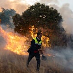 Fallece un voluntario que trabajaba en el operativo del incendio de Molezuelas, entre Zamora y León