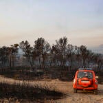 Buena noticia: el incendio en Teresa de Cofrentes (Valencia) arrasa unas 500 hectáreas pero ya está perimetrado