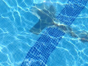 El Grupo Municipal Socialista ha criticado el estado de la piscina. REMITIDA / HANDOUT por PSOE TOLEDO Fotograf&iacute;a remitida a medios de comunicaci&oacute;n exclusivamente para ilustrar la noticia a la que hace referencia la imagen, y citando la procedencia de la imagen en la firma 14/08/2025