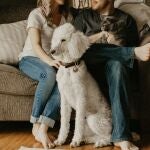 ¿Puede mi casero prohibirme tener mascota en un piso de alquiler en España?