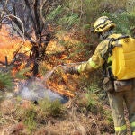 Incendio en La Alberca (Salamanca)
