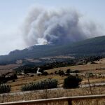 Incendio en la sierra de la Plata, muy cerca de la playa de Bolonia en Tarifa (Cádiz)