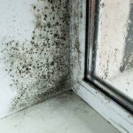 Cómo quitar el moho negro de la silicona de la cocina