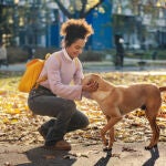 Qué significa acariciar a perros desconocidos de la calle según la psicología