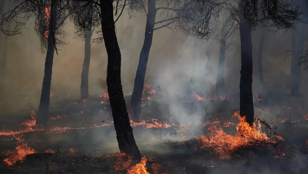 Sucesos.- Extinguido el incendio de Carcastillo (Navarra)