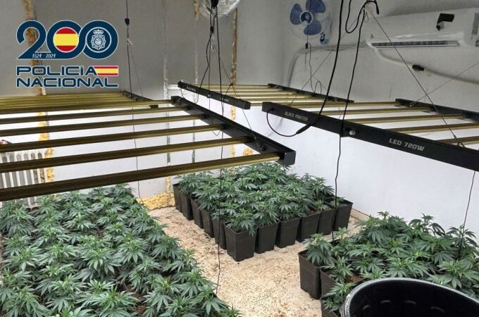 Detienen a 26 personas en 13 operaciones con más de 3.000 plantas de marihuana intervenidas en Granada