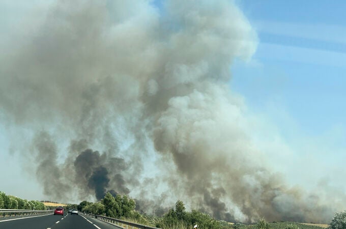 Trabajan en la extinción de un nuevo incendio en el paraje La Contienda de Aroche (Huelva)