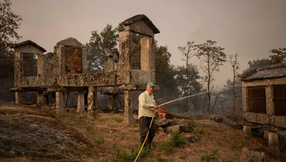 Incendio forestal en Carballeda de Avia (Ourense)