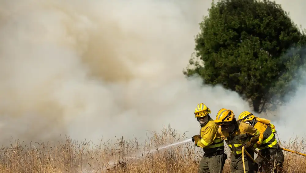 Suc.- Posada de Valdeón (León) "urge" medios para frenar incendio que amenaza a localidades y al Parque Picos de Europa