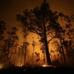 La Armada también se moviliza para luchar contra los incendios