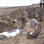 Expertos recogen restos de una fosa común en el norte de Mosul (Irak)