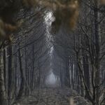 Complicada jornada en León con preocupación por el viento y el avance del fuego en Gestoso, Barniedo y Llamas
