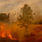 El incendio de Oímbra lleva devoradas 12.000 hectáreas de acuerdo con cifras de la Xunta