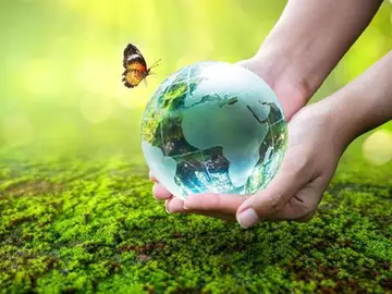 Cuidar del planeta Consejos para cuidar el planeta