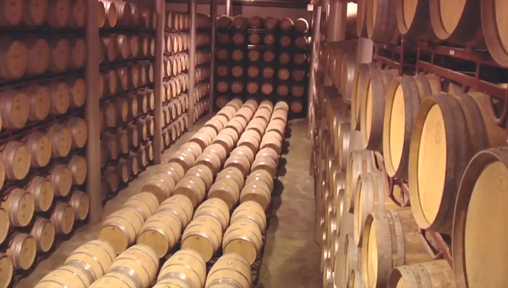 Crianza Virgen de las Viñas