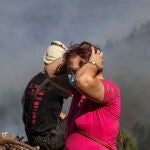 Wildfires affect over 201,000 Hectares in Portugal